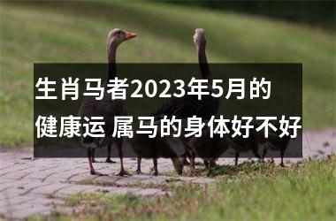 <h3>生肖马者2025年5月的健康运 属马的身体好不好