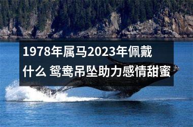 <h3>1978年属马2023年佩戴什么 鸳鸯吊坠助力感情甜蜜