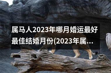 属马人2025年哪月婚运好 佳结婚月份(2025年属马人2月份运势)