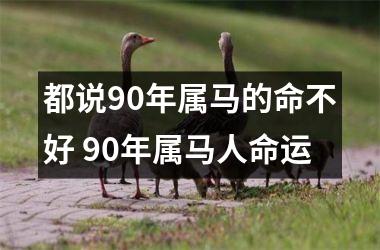 都说90年属马的命不好 90年属马人命运