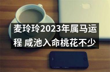 麦玲玲2025年属马运程 咸池入命桃花不少