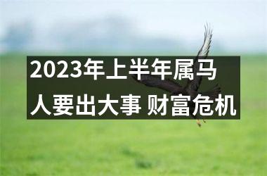 2025年上半年属马人要出大事 财富危机