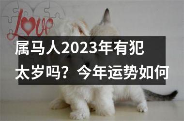 <h3>属马人2025年有犯太岁吗？今年运势如何