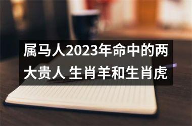 属马人2025年命中的两大贵人 生肖羊和生肖虎