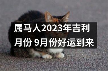 <h3>属马人2025年吉利月份 9月份好运到来