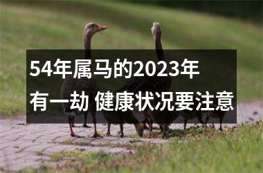 54年属马的2025年有一劫 健康状况要注意