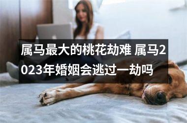 属马大的桃花劫难 属马2025年婚姻会逃过一劫吗