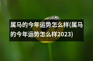 属马的今年运势怎么样(属马的今年运势怎么样2025)