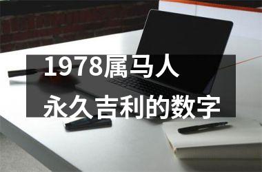 1978属马人永久吉利的数字