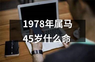 1978年属马45岁什么命