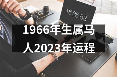 1966年生属马人2025年运程