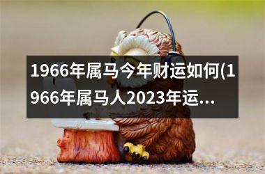 1966年属马今年财运如何(1966年属马人2025年运势男性)