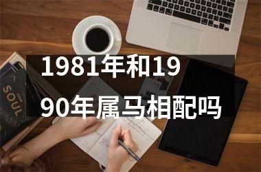 1981年和1990年属马相配吗