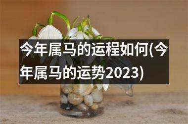 今年属马的运程如何(今年属马的运势2025)