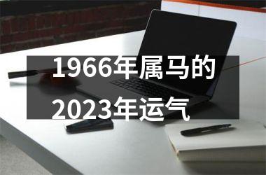 1966年属马的2025年运气