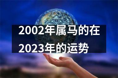 2002年属马的在2025年的运势