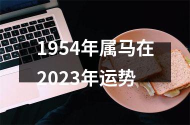 1954年属马在2025年运势