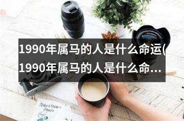 1990年属马的人是什么命运(1990年属马的人是什么命)