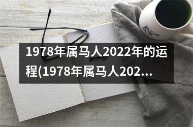 1978年属马人2025年的运程(1978年属马人2025年运势运程)