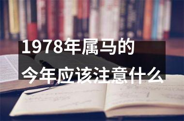 1978年属马的今年应该注意什么