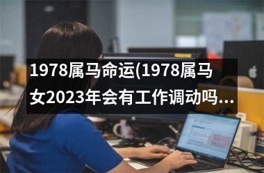 1978属马命运(1978属马女2025年会有工作调动吗)