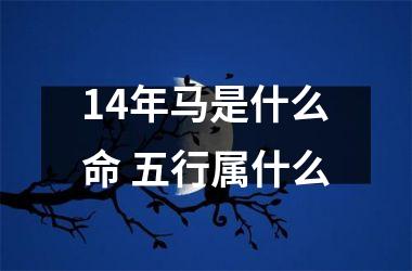 14年马是什么命 五行属什么