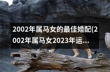 2002年属马女的佳婚配(2002年属马女2025年运势及运程每月运程)