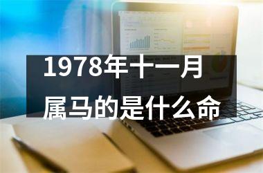 1978年十一月属马的是什么命