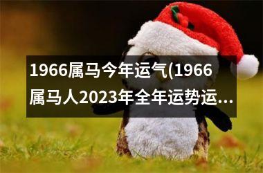 1966属马今年运气(1966属马人2025年全年运势运程男性)