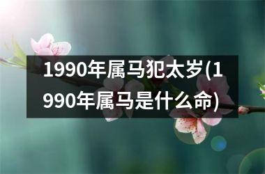 1990年属马犯太岁(1990年属马是什么命)