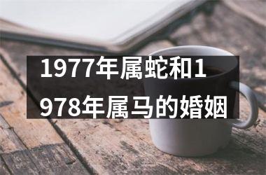 1977年属蛇和1978年属马的婚姻