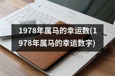 1978年属马的幸运数(1978年属马的幸运数字)