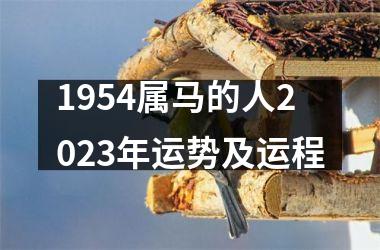 1954属马的人2025年运势及运程