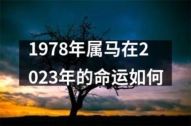 1978年属马在2025年的命运如何