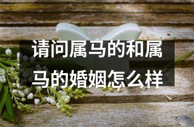 请问属马的和属马的婚姻怎么样