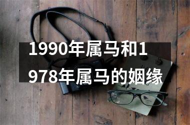 1990年属马和1978年属马的姻缘