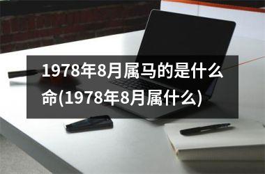 1978年8月属马的是什么命(1978年8月属什么)