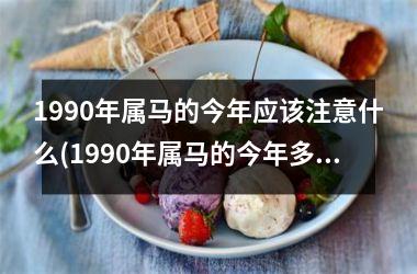 1990年属马的今年应该注意什么(1990年属马的今年多大了)