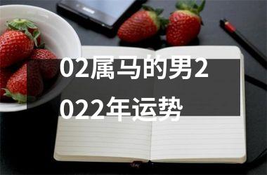 02属马的男2025年运势