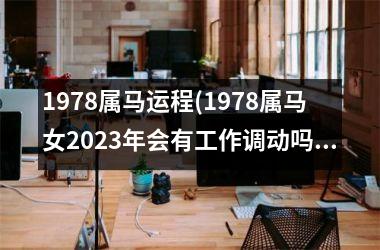 1978属马运程(1978属马女2025年会有工作调动吗)