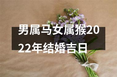 男属马女属猴2025年结婚吉日