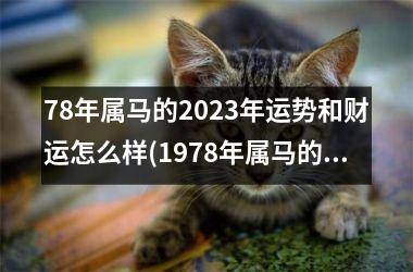 78年属马的2025年运势和财运怎么样(1978年属马的2025年运势和财运怎么样)