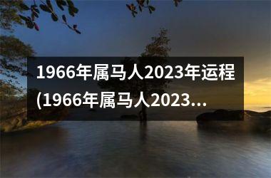 1966年属马人2025年运程(1966年属马人2025年运势男性)