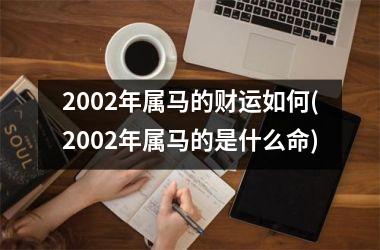 2002年属马的财运如何(2002年属马的是什么命)