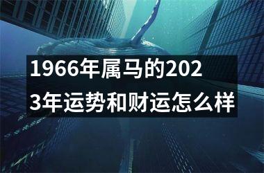 1966年属马的2025年运势和财运怎么样