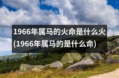 1966年属马的火命是什么火(1966年属马的是什么命)