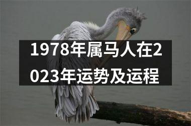 1978年属马人在2025年运势及运程