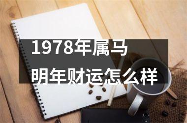 1978年属马明年财运怎么样