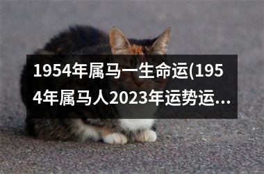 1954年属马一生命运(1954年属马人2025年运势运程)