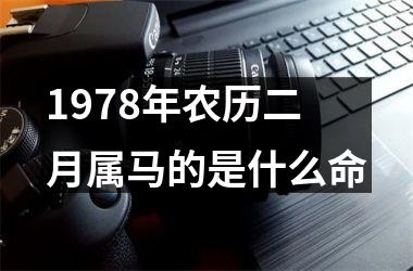 1978年农历二月属马的是什么命